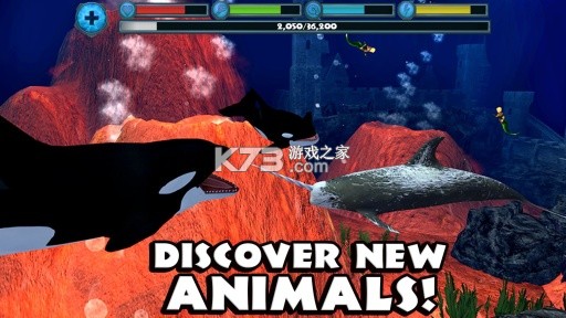 聪明虎鲸 v1.2.0 安卓单机游戏 截图