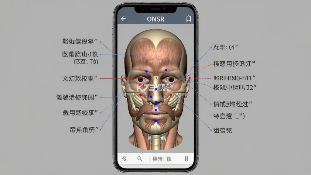 ONSR v4.5 下载官方版 截图