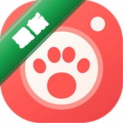 毛球在家下载安装v1.3.1