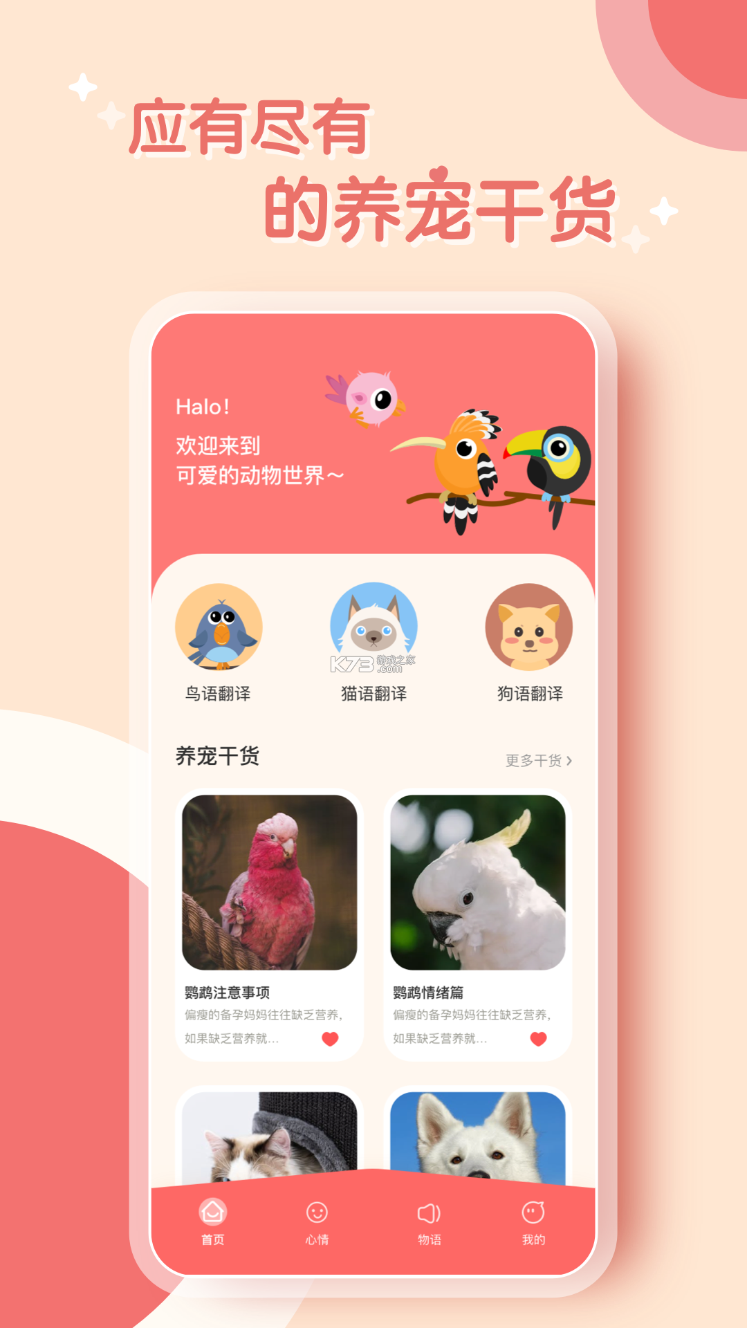 翻译器 v3.6.6 官方app下载安装 截图