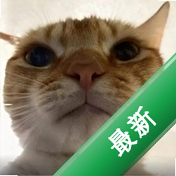 哈基米 v1.0.5 安卓app下载