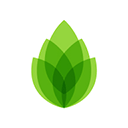 芦笋appv1.9.11