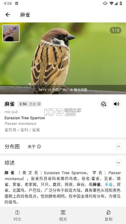 懂鸟 v1.6.0 安卓app下载 懂鸟 v1.6.0 安卓app下载
