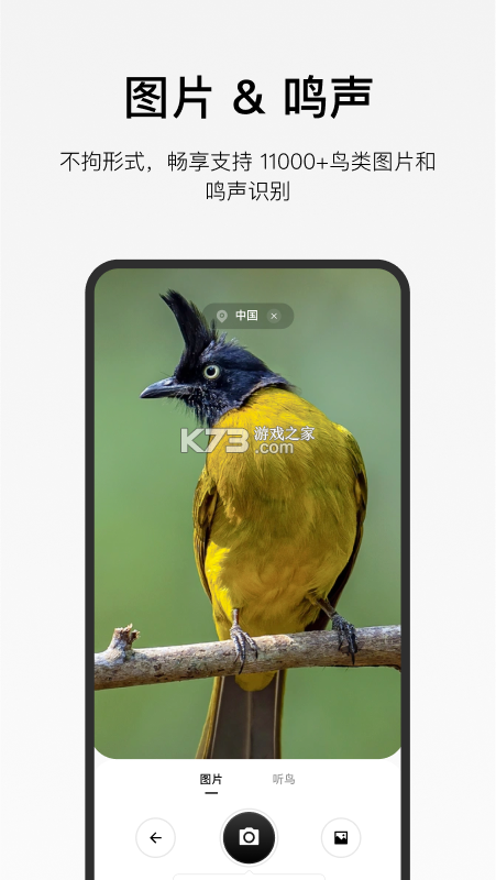 懂鸟 v1.6.0 安卓app下载 截图