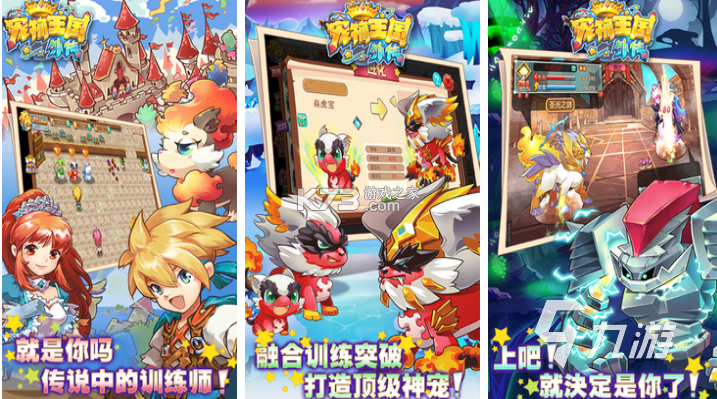 宠星 v1.0.2 app下载 截图