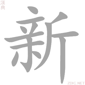 新隆安 v1.9.1140 官方app下载 截图