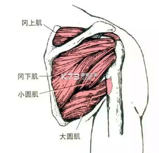智驾答题宝 v1.0 官方app下载安装