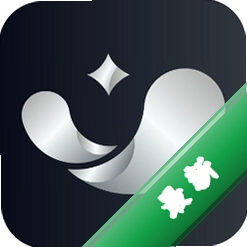 银闪闪下载官方版