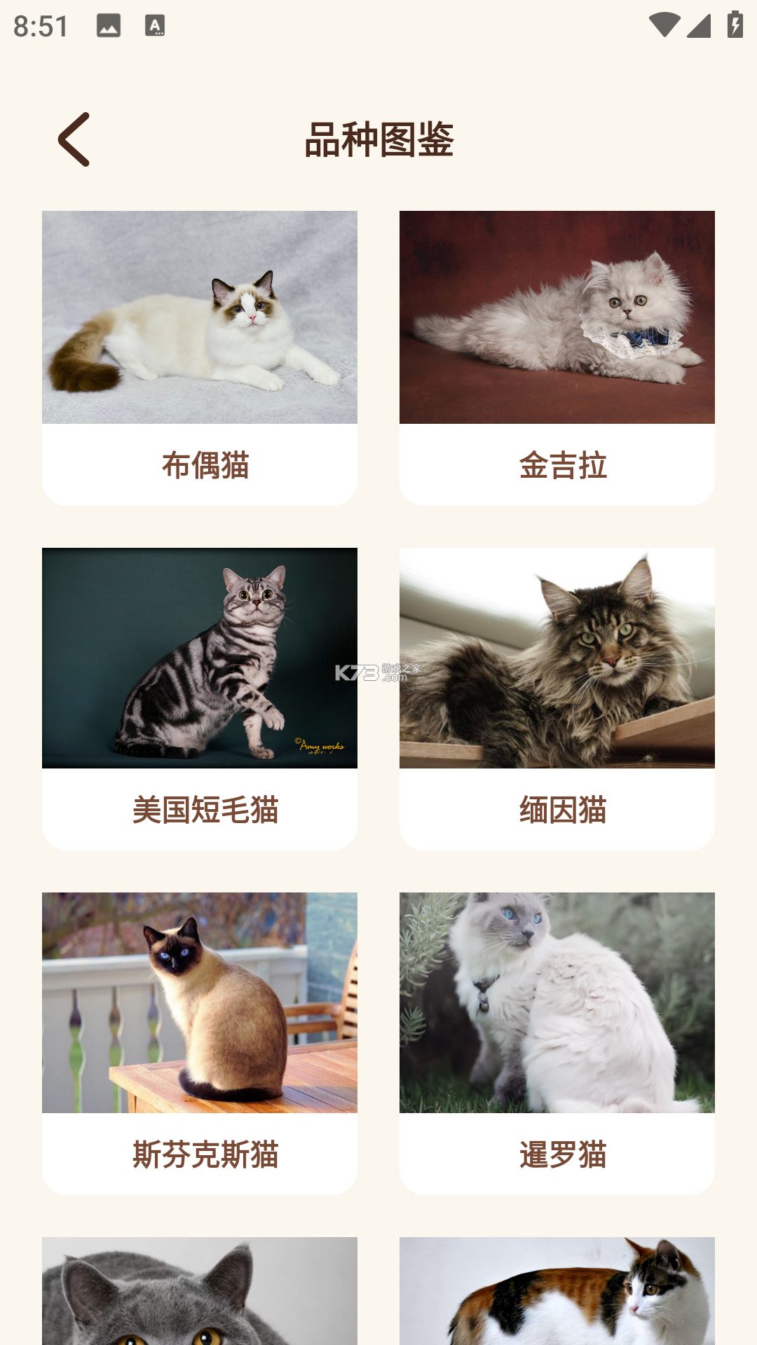Cat Language Converter(猫语翻译器) v3.2.4 app下载 截图