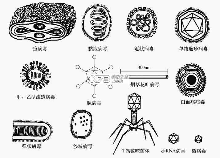 老王之家 v1.10.7 app下载 截图