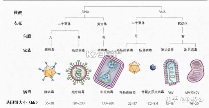 老王之家 v1.10.7 app下载 截图