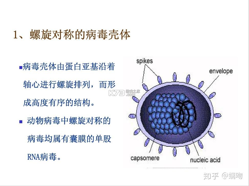 老王之家 v1.10.7 app下载 截图