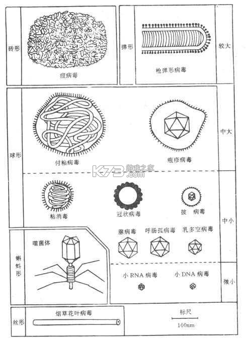 老王之家 v1.10.7 app下载 截图