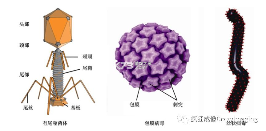 老王之家 v1.10.7 app下载 截图