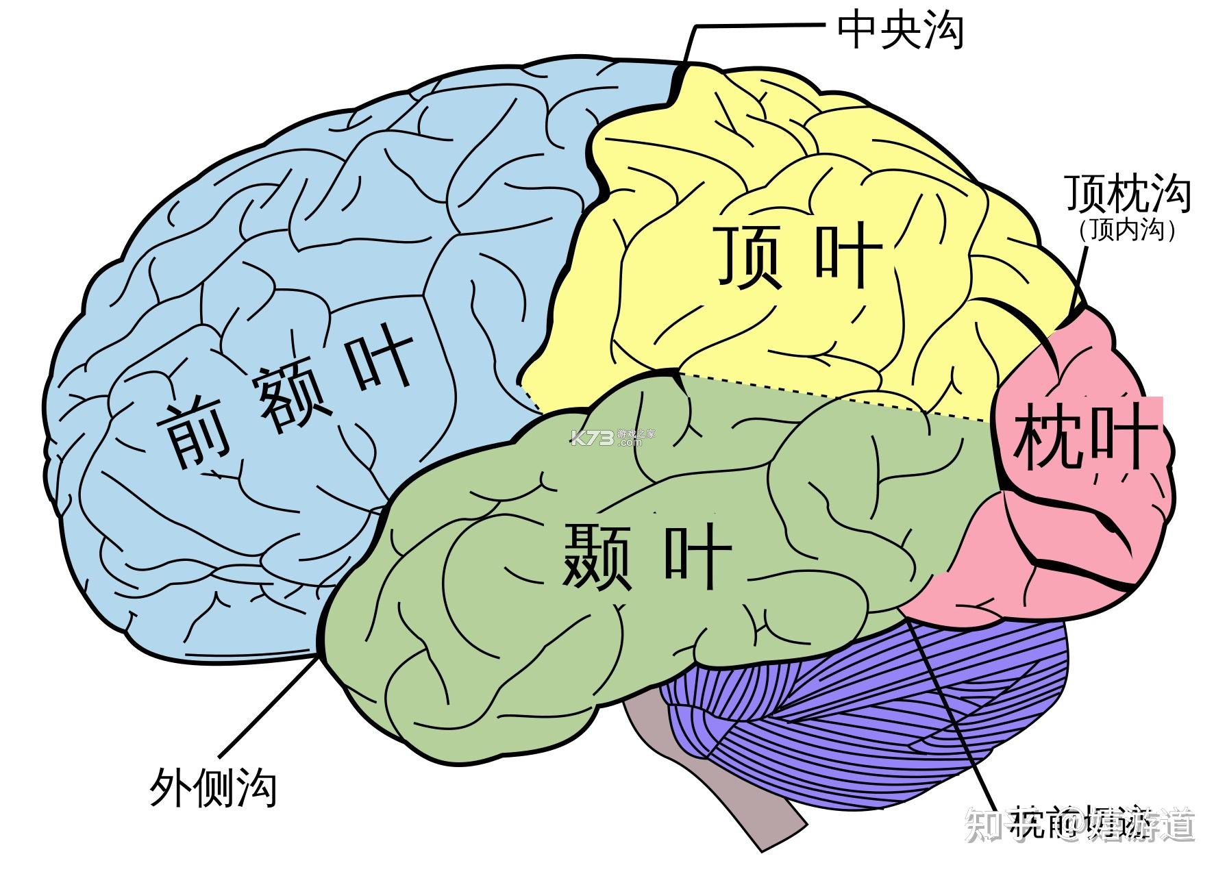 学考妹 v1.6.89 官方app下载安装 截图