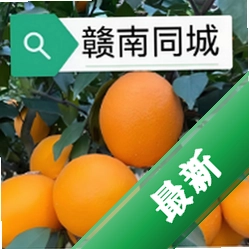 赣南同城下载app免费