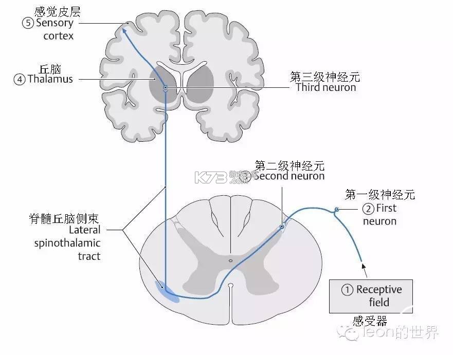 咖管店 v2.17.3 安卓app下载 截图