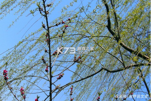 风糖小组件 v1.6.2 下载安装 截图