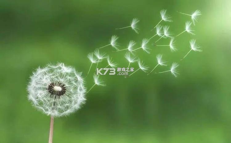 风糖小组件 v1.6.2 下载安装 截图