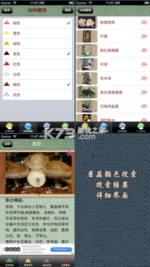 踩蘑菇 v2.0.7 下载官方版 截图