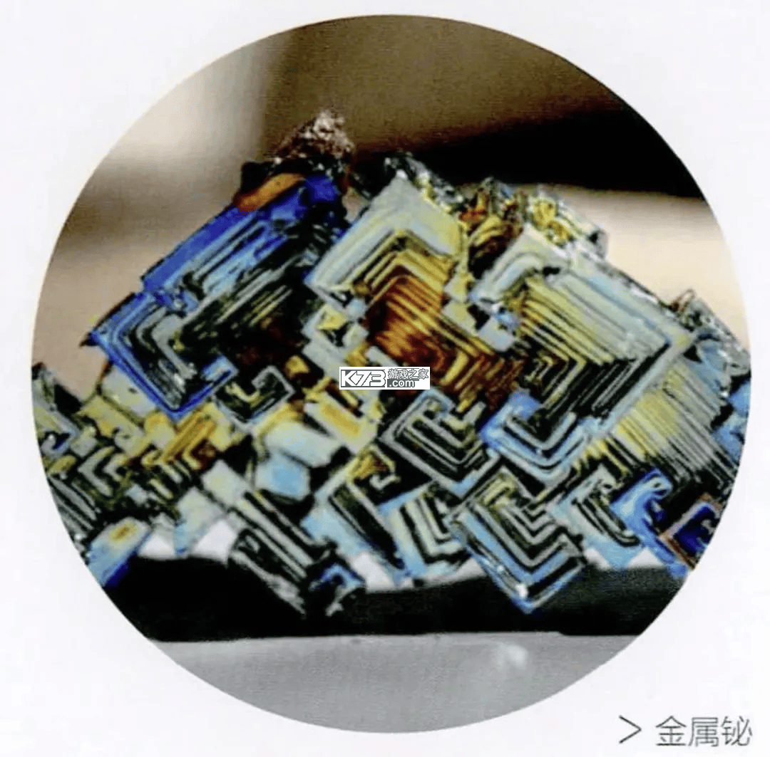 铋过 v3.6.0 官方app下载安装 截图