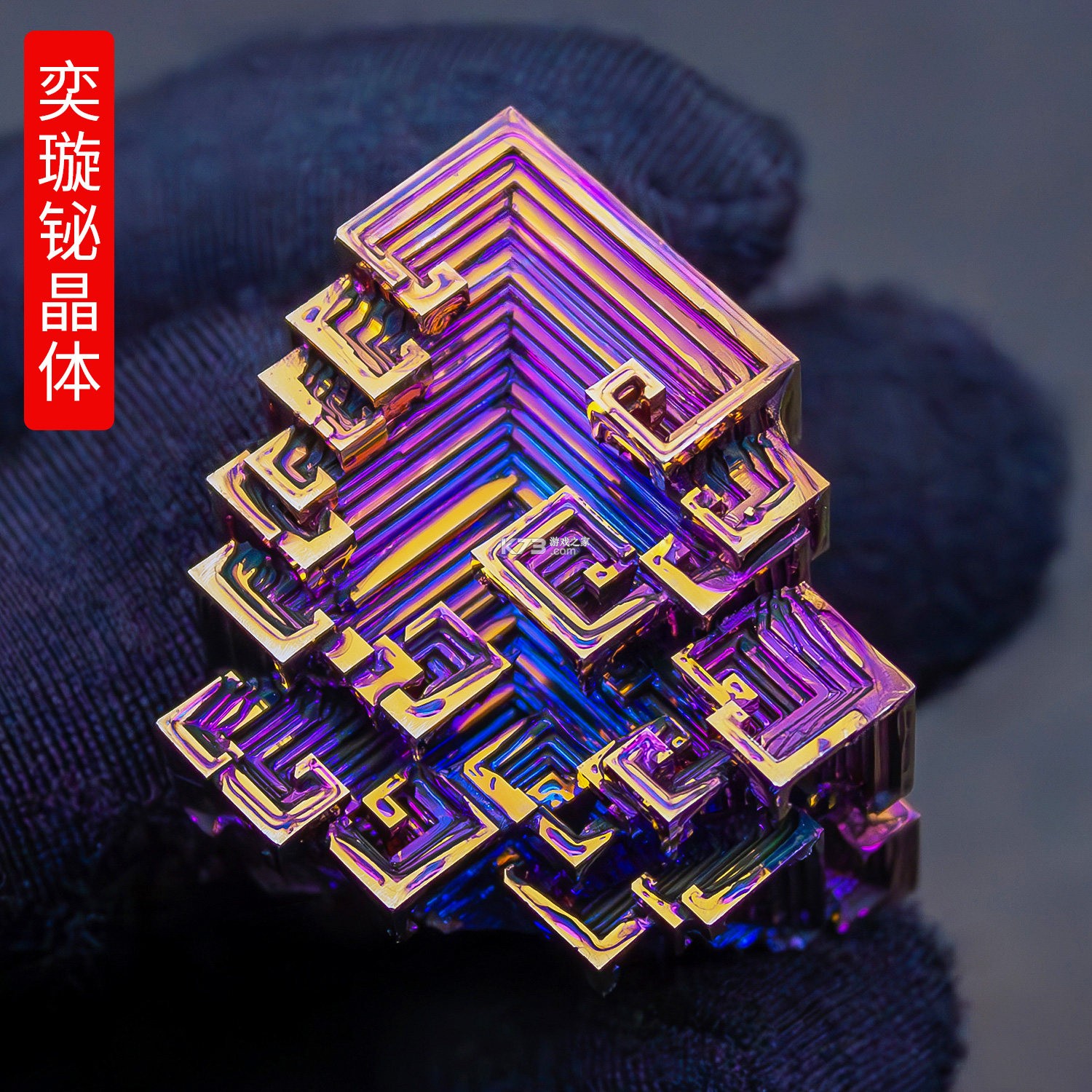 铋过 v3.6.0 官方app下载安装 截图