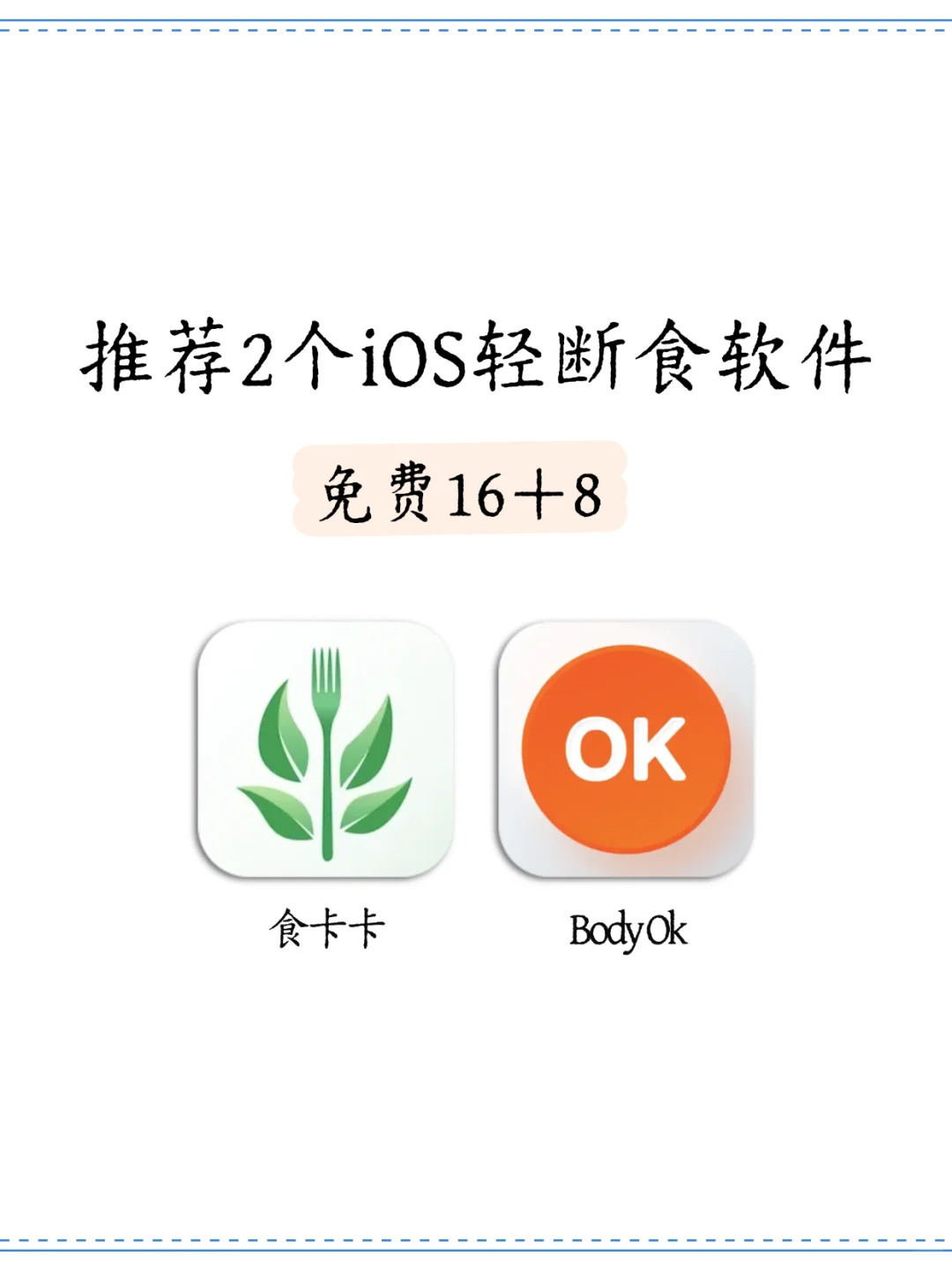 绿叶轻断食 v1.0.3 官方app下载安装 截图