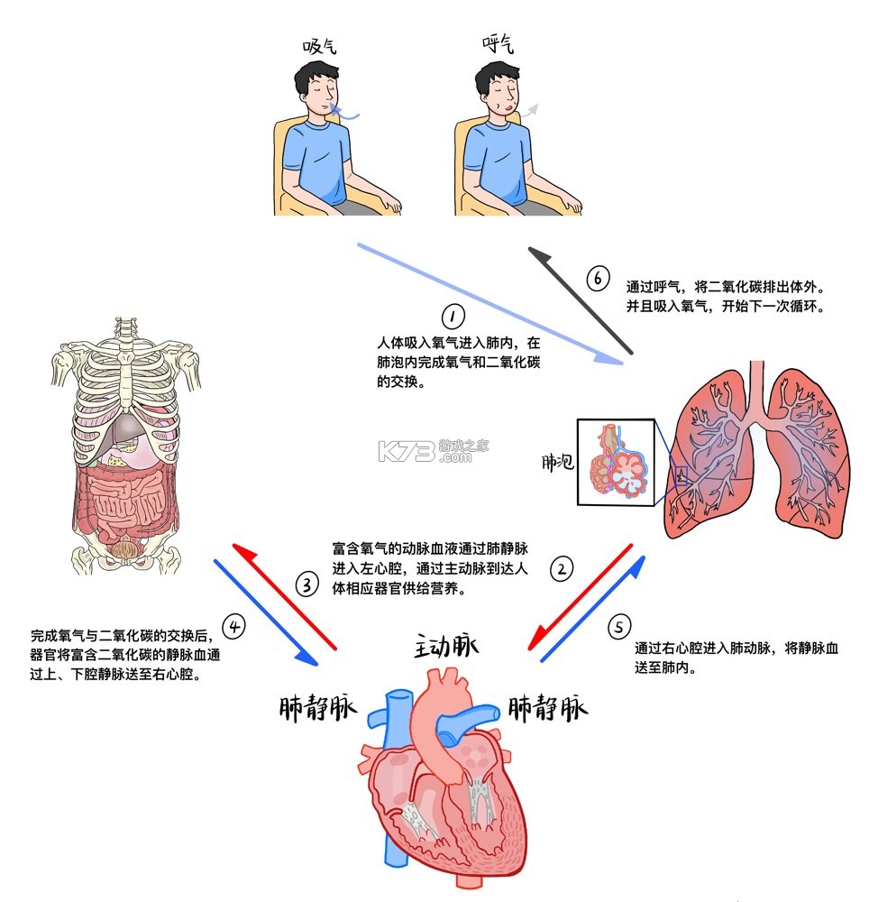 海棠书屋 v1.0.6 官方app下载安装 截图