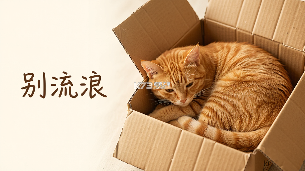 别流浪 v1.0.0 app下载