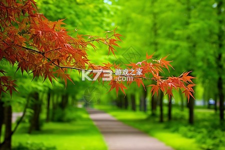 王牌智媒 v2.2.1 安卓app下载 截图