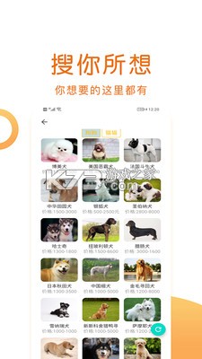 快乐宠物水疗中心 v1.5.0 下载安装正版 截图