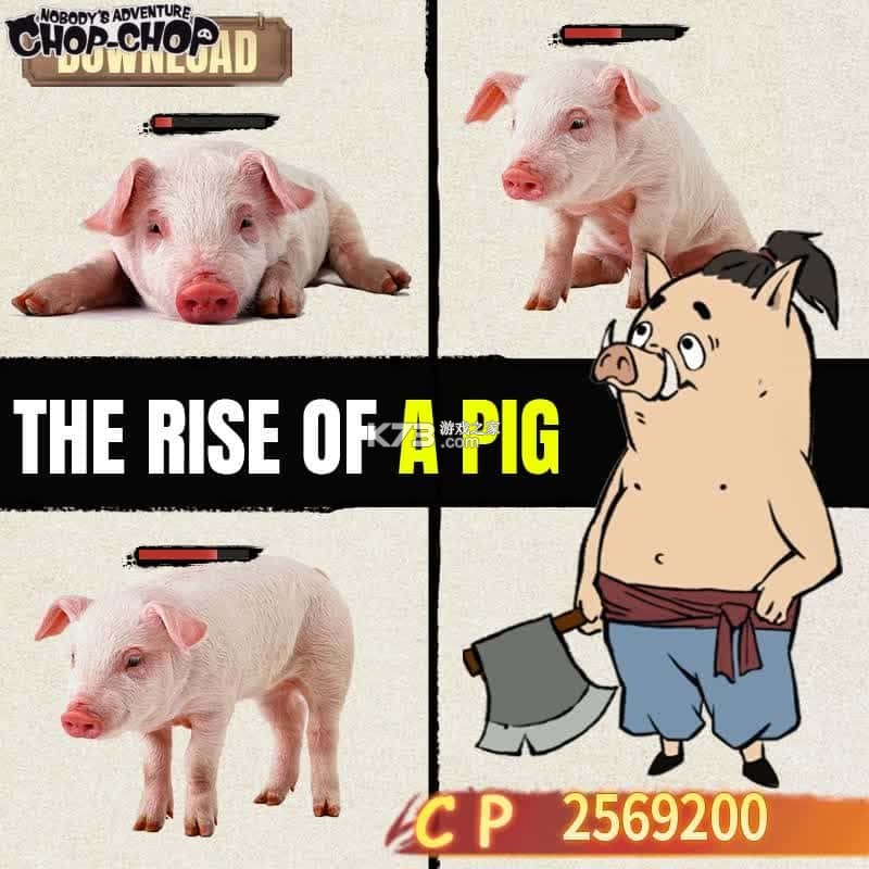 PigSyn 猪事顺 v1.2.1 官方app下载安装 截图