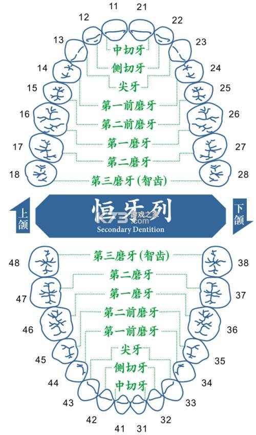 ZIP解压专家 v1.0.4 下载手机版 截图