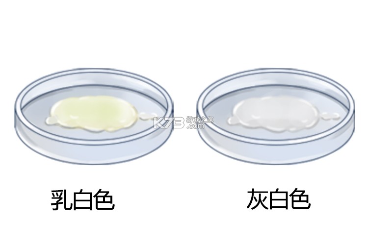超级笔记伙伴 v2.6.0 app下载 截图