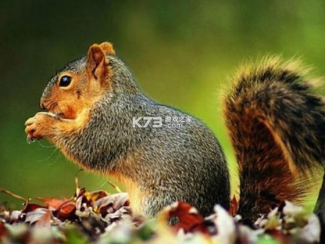 精真估云评估 v4.4.3 安卓app下载 截图