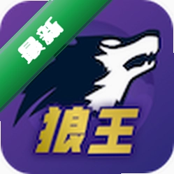 狼王官方下载安装v1.5.4