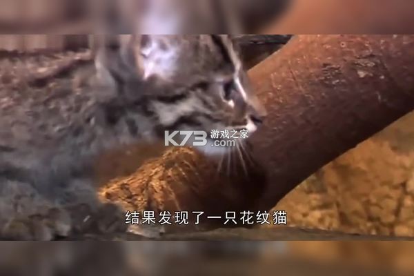 GPS电子狗 v2.5 安卓app下载 截图