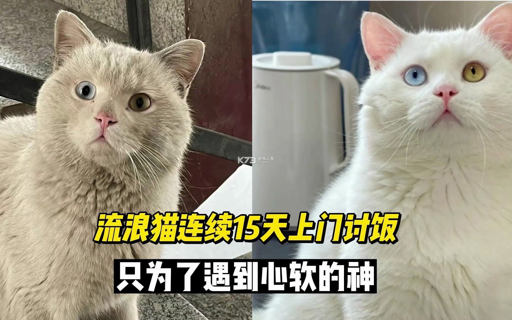 GPS电子狗 v2.5 安卓app下载 截图