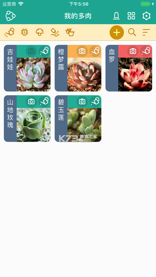 多肉花草成长日记 v2.6 安卓app下载