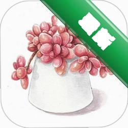 多肉花草成长日记 v2.6 安卓app下载