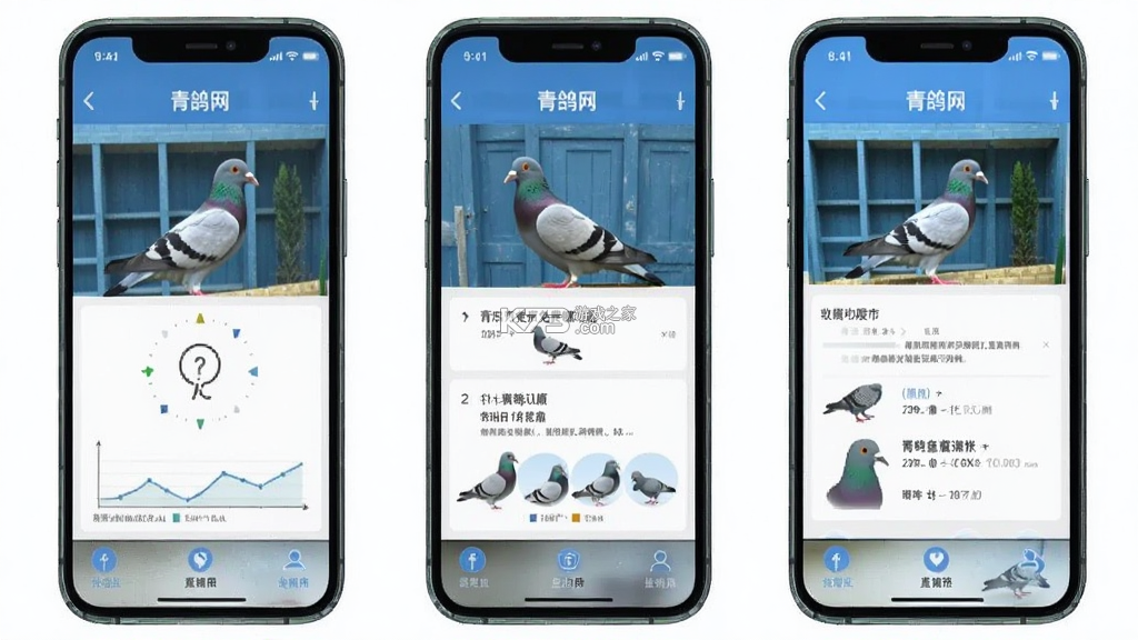 青鸽网 v4.2.3 安卓app下载 青鸽网 v4.2.3 安卓app下载
