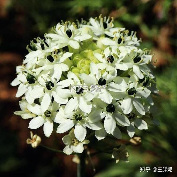都肆商圈 v2.1.15 下载app安装正版 截图