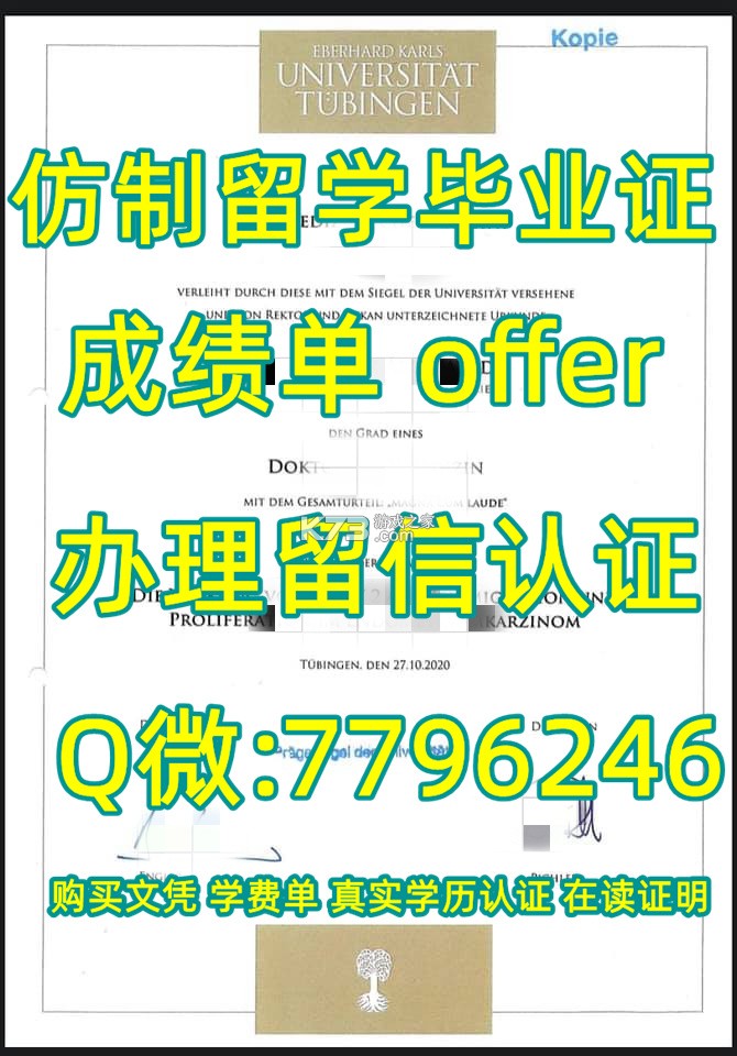 龙侨华 v4.6.62 下载官方版 截图