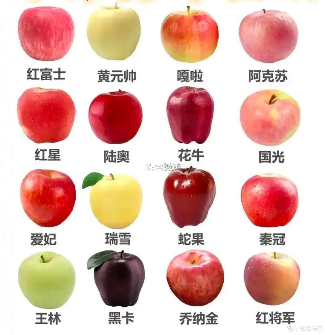 派培优 v2.0.1 安卓app下载 截图