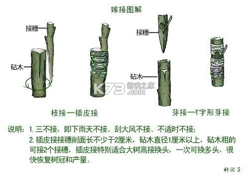 优享助手 v1.0.9 安卓app下载 截图