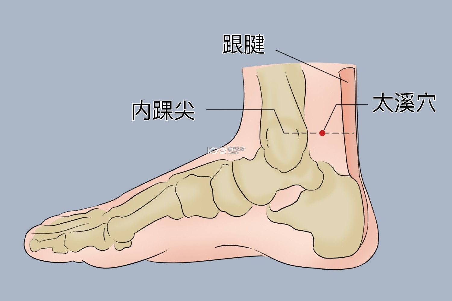美办 v4.1.2 app下载 截图
