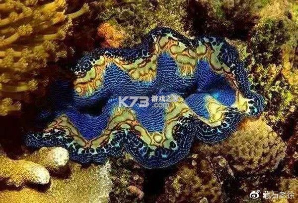 恐惧传说第零章 v1.0 下载官方版 恐惧传说第零章 v1.0 下载官方版