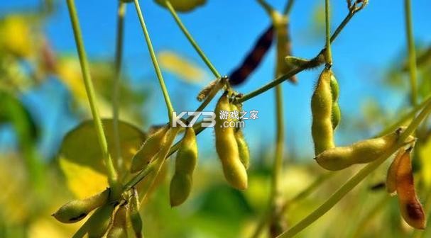 豆伴匠 v2.10.7 安卓app下载 截图
