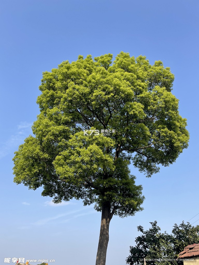 树洞小酒馆 v3.9.0 安卓app下载 截图