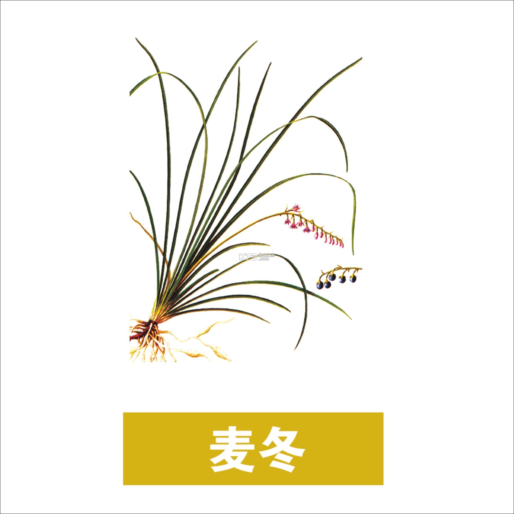 4i同频 v1.4.3 安卓app下载 截图